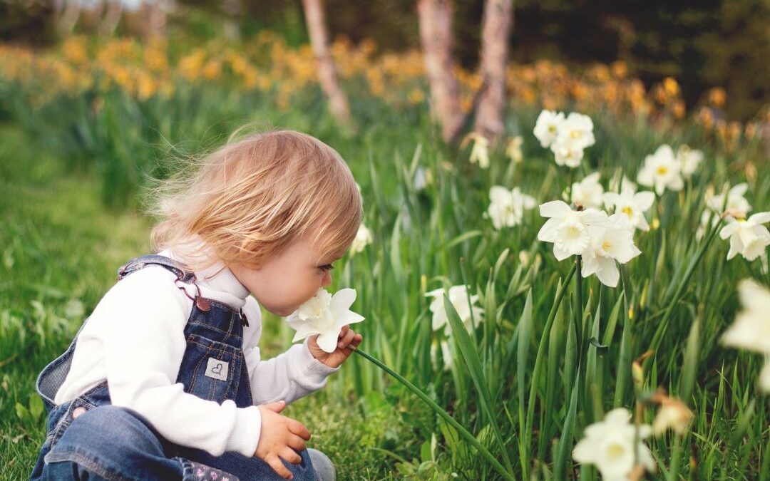 Child smelling spring flowers in a meadow