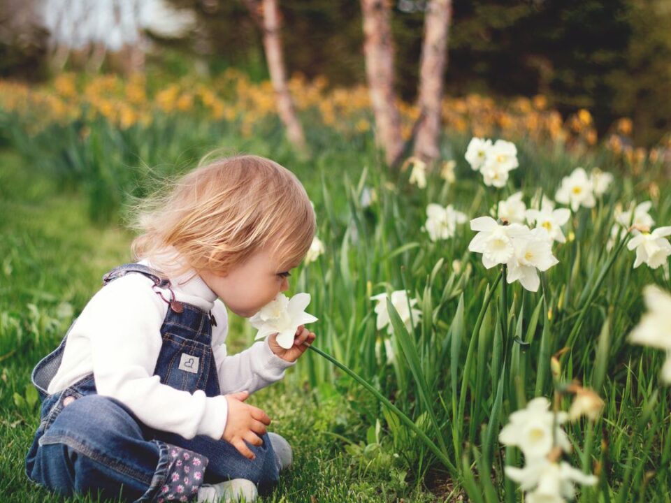 Child smelling spring flowers in a meadow
